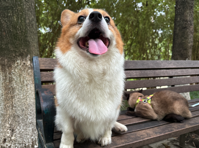 又一个夏天来咯