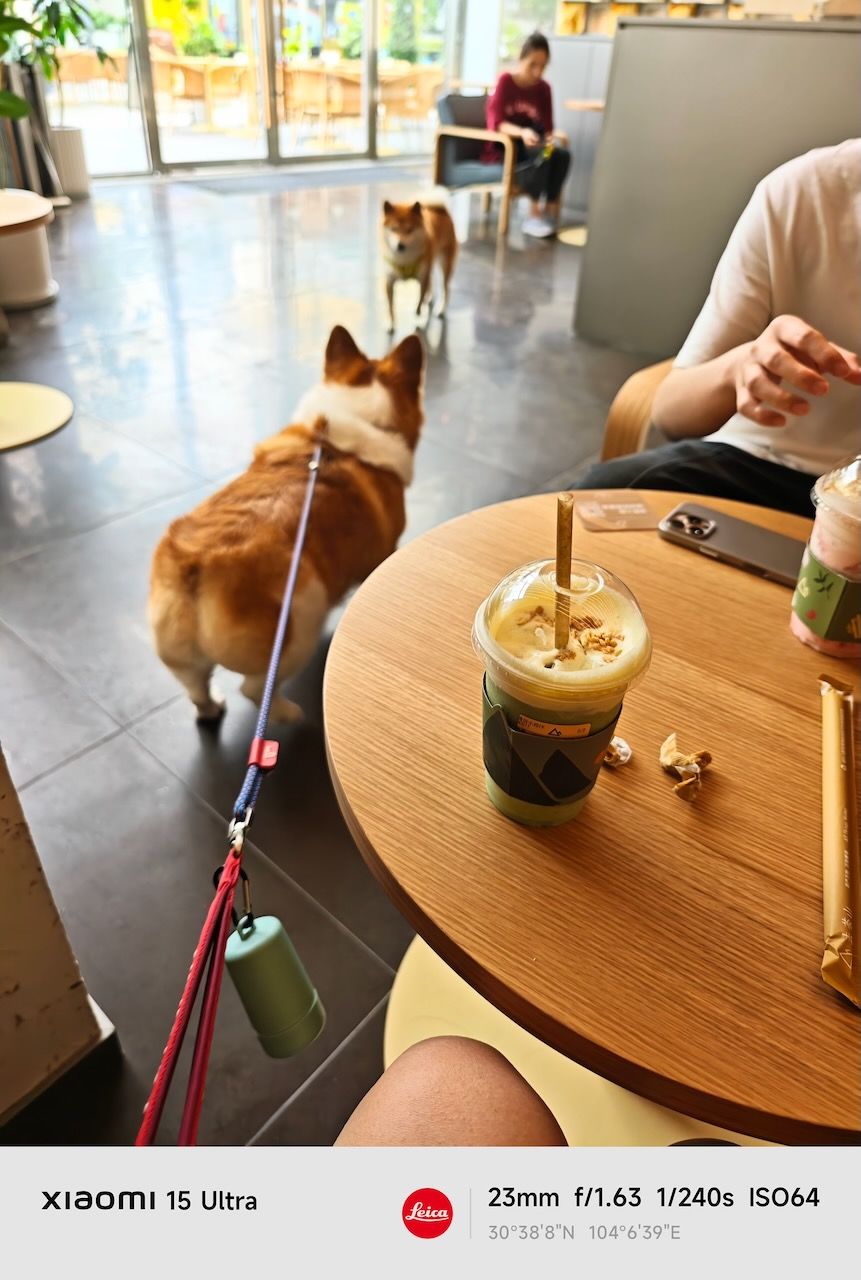 遛狗遛猫 双管齐下