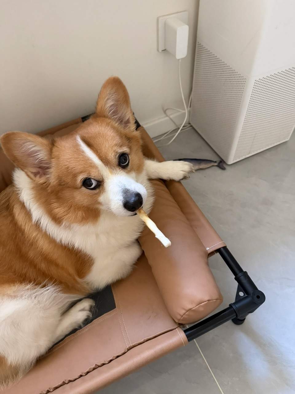 最近碎片